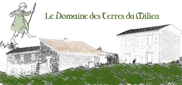 logo couleur domaine des terres du milieu 63