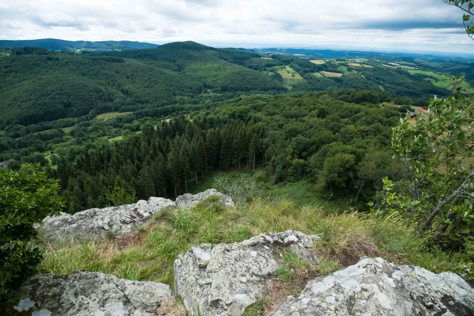 Forêt des Bois Noirs, Puy du Montoncel-Domaine des Terres du milieu-gite-nature-detente-location-vacances-sejours-auvergne-puy-de-dome